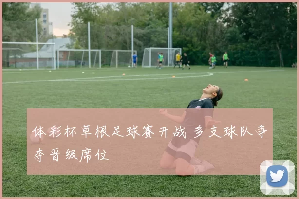 体彩杯草根足球赛开战 多支球队争夺晋级席位