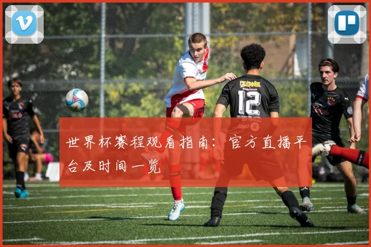 世界杯赛程观看指南：官方直播平台及时间一览